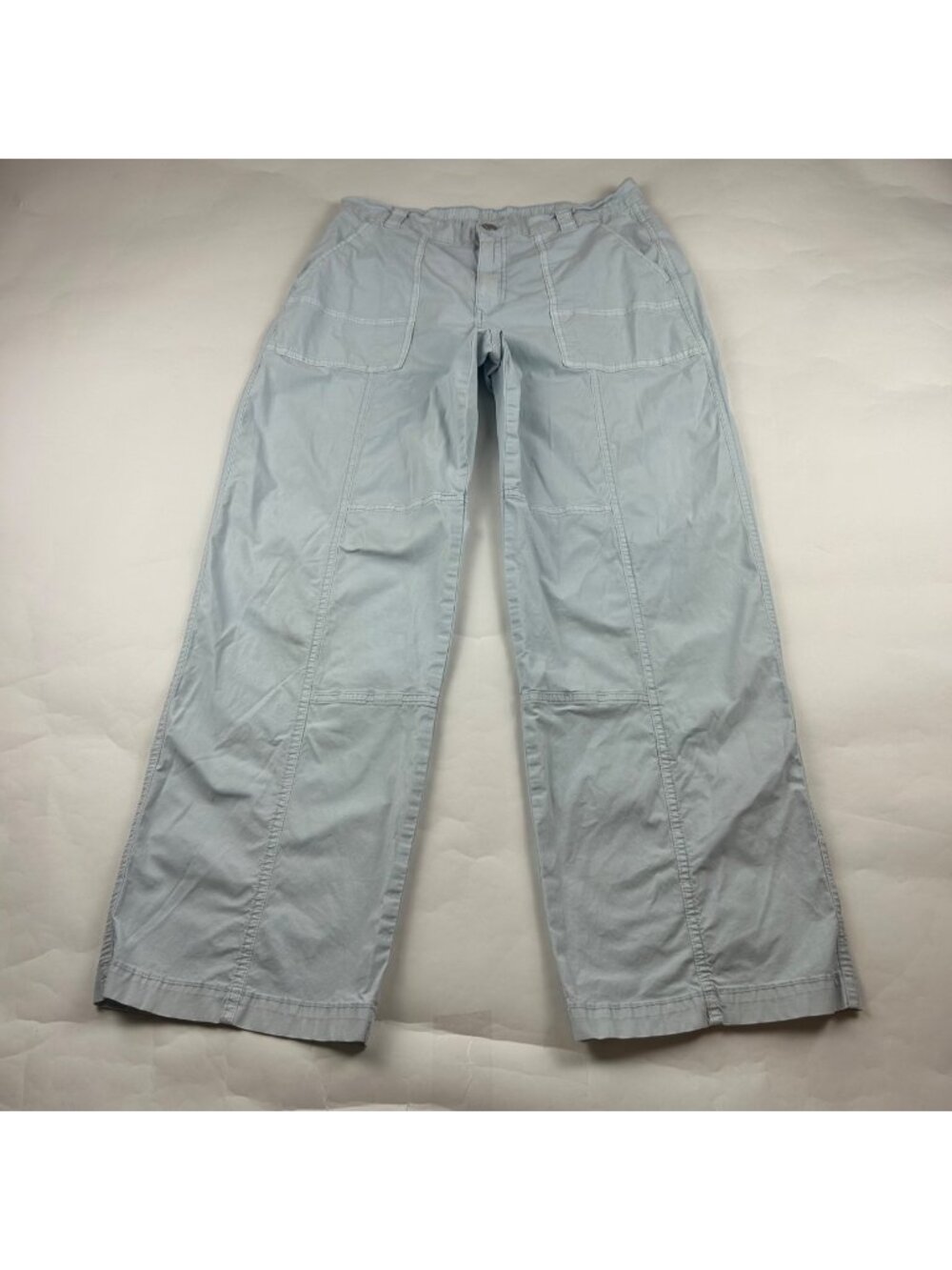 Wild Fable Light Blue Stretch Canvas Utility Pant M
